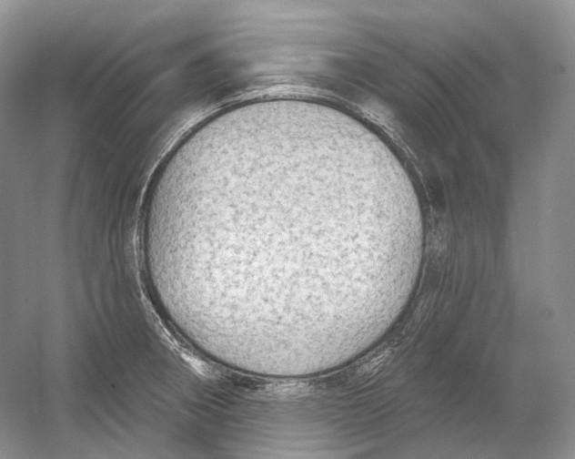 X0000054361282200508262305