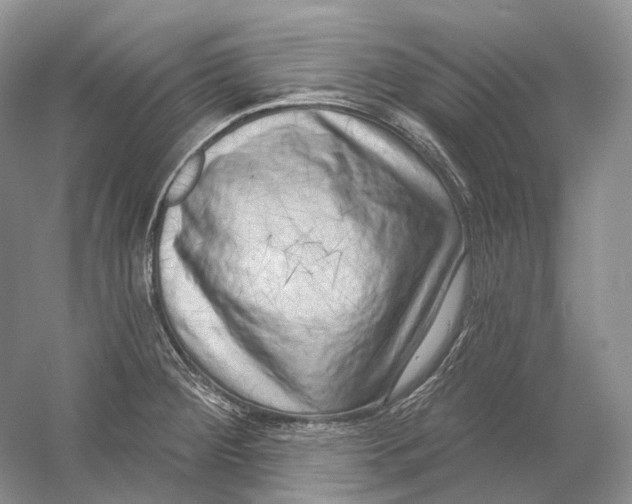 X0000054361284200508262305
