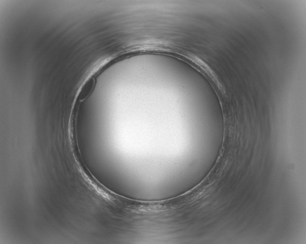 X0000054361285200508262305