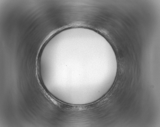 X0000054361286200508262305