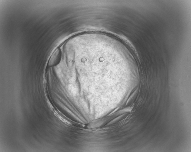 X0000054361287200508262305