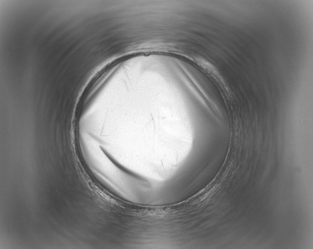 X0000054361288200508262305