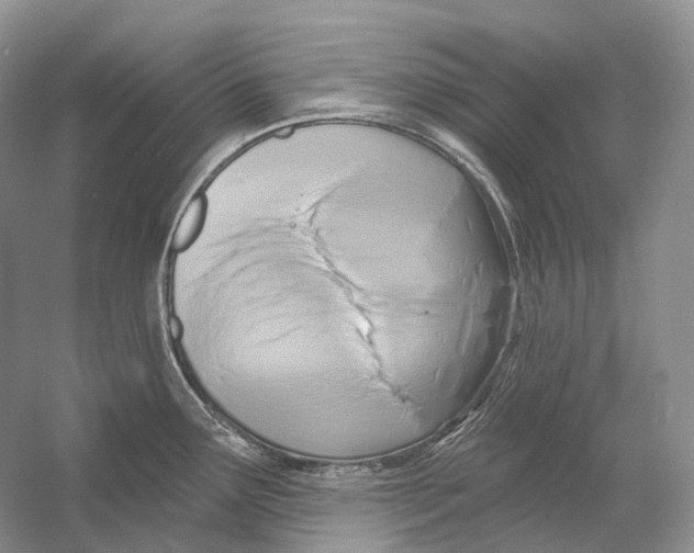 X0000054361291200508262305