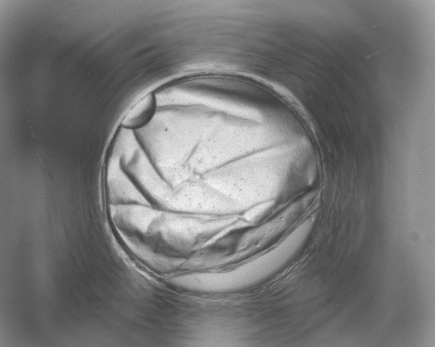 X0000054361295200508262305