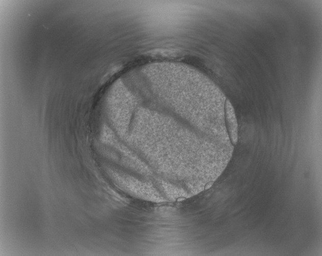X0000054361297200508262304