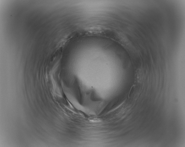 X0000054361298200508262304