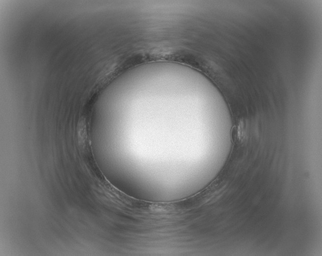 X0000054361299200508262304