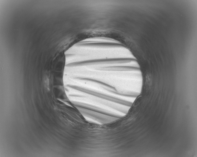 X0000054361300200508262304