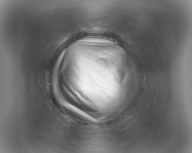 X0000054361301200508262304