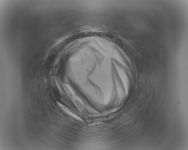 X0000054361303200508262304