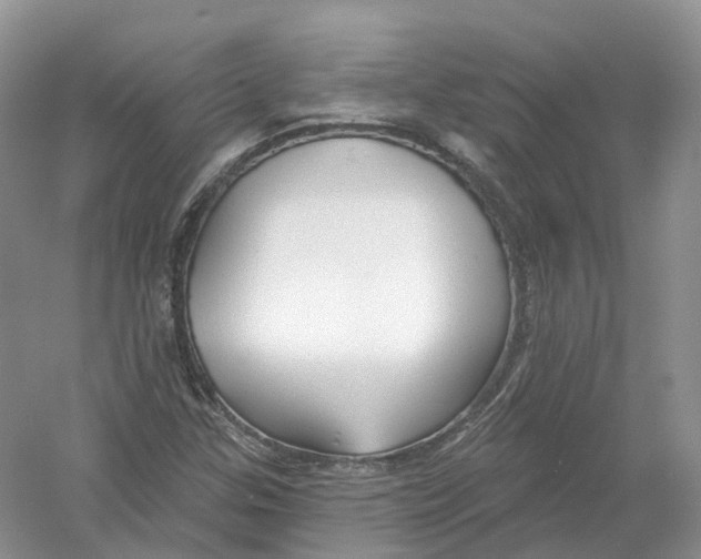 X0000054361307200508262304