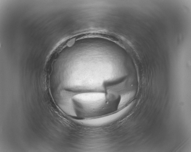 X0000054361310200508262304