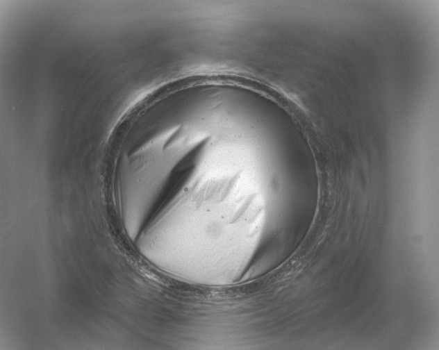 X0000054361311200508262304