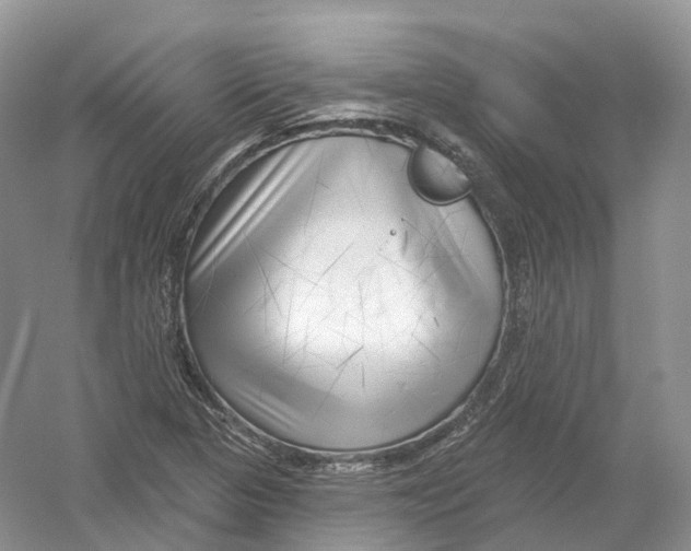 X0000054361313200508262304