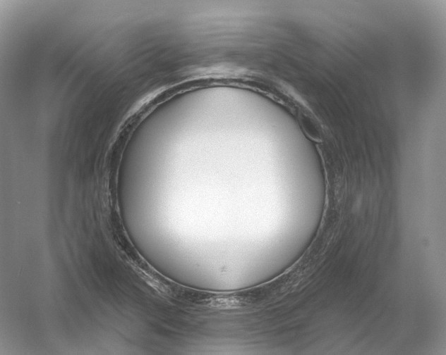 X0000054361315200508262304
