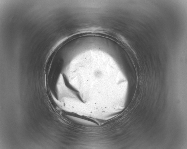 X0000054361320200508262304