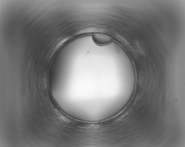 X0000054361321200508262304