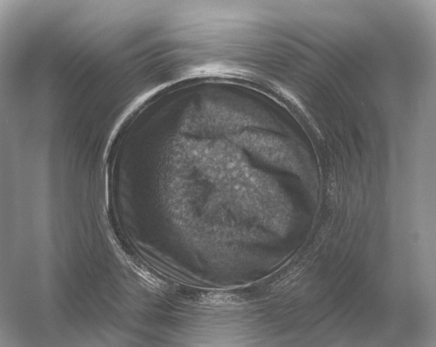 X0000054361323200508262304