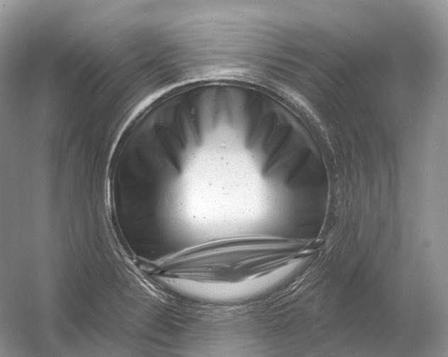 X0000054361324200508262304