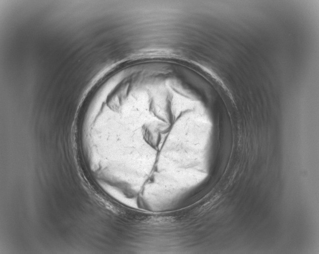 X0000054361325200508262304