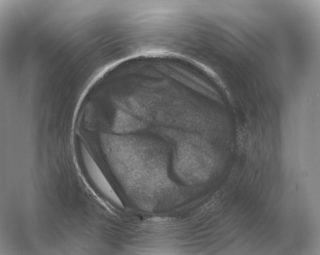 X0000054361327200508262304