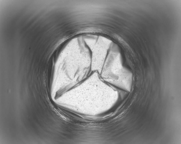 X0000054361329200508262304