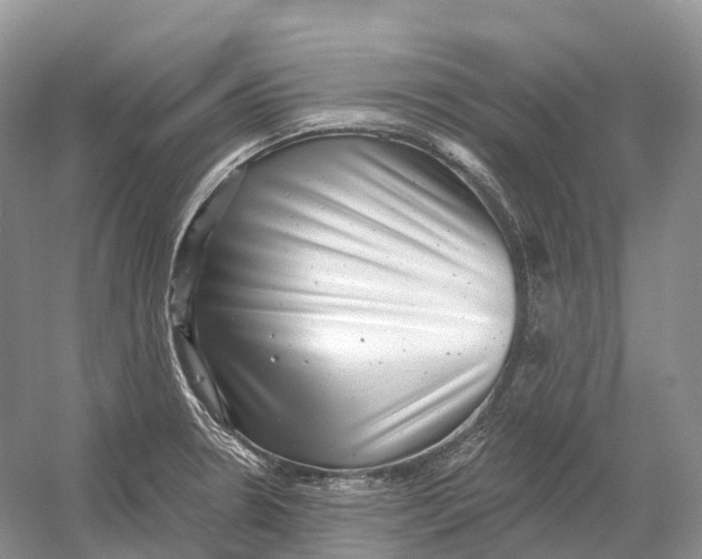 X0000054361330200508262304
