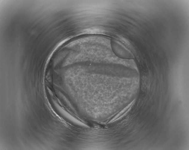 X0000054361331200508262304