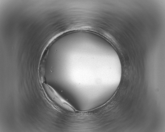 X0000054361332200508262304