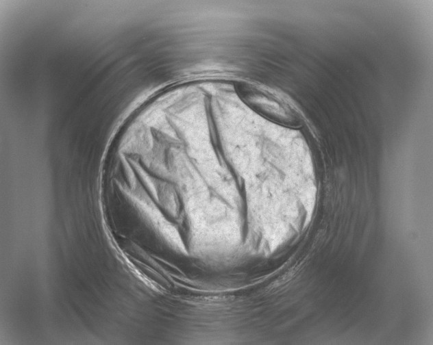 X0000054361333200508262304