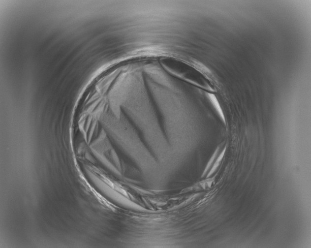X0000054361334200508262304