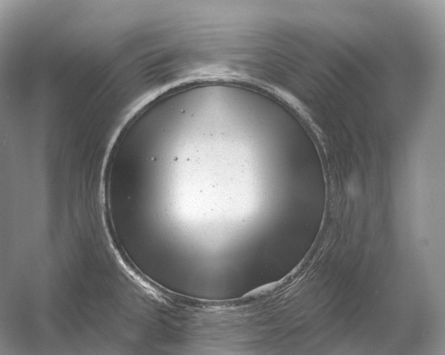 X0000054361335200508262304