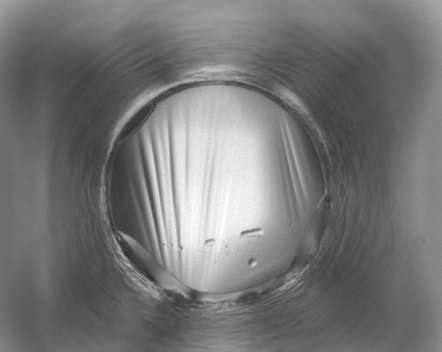 X0000054361336200508262304