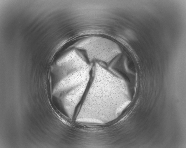 X0000054361337200508262304