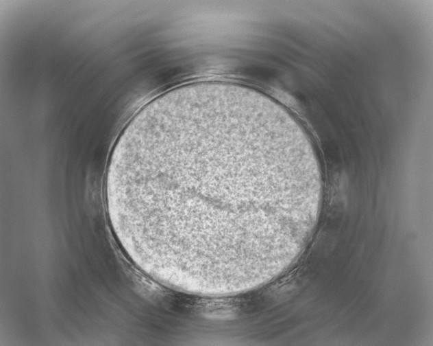 X0000054361338200508262305