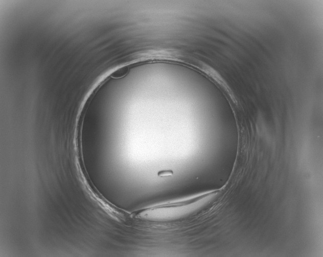 X0000054361339200508262305