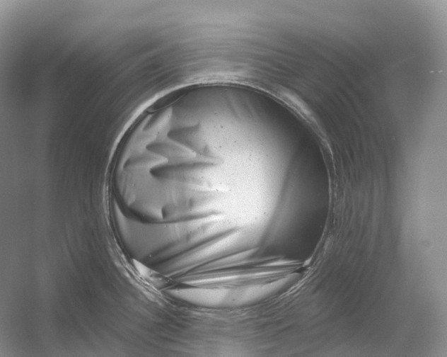 X0000054361340200508262305