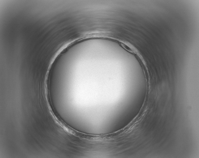 X0000054361341200508262305