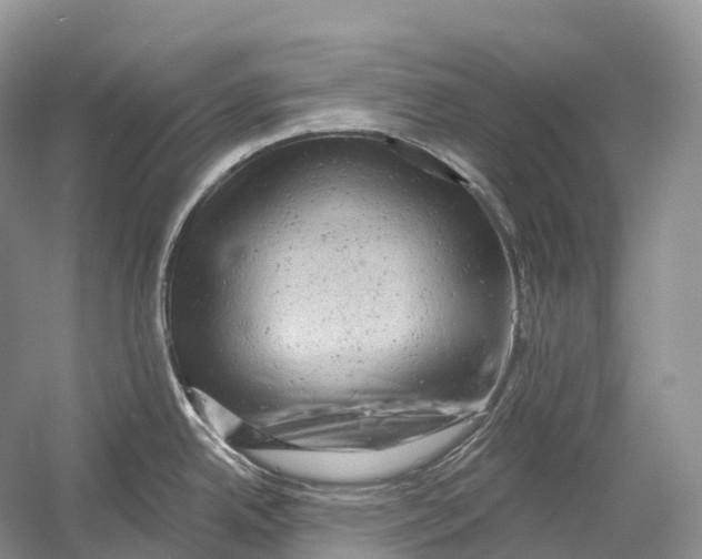 X0000054361342200508262305