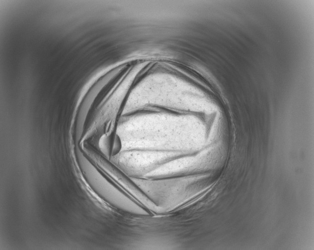 X0000054361344200508262305