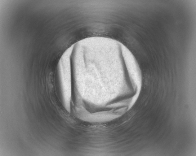 X0000054361346200508262304