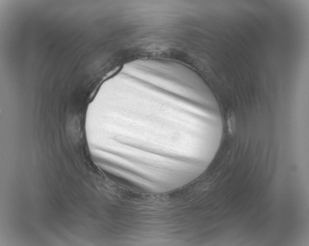 X0000054361347200508262304