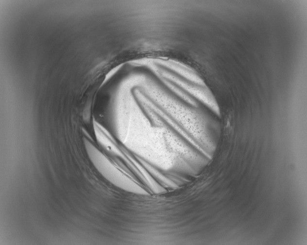 X0000054361348200508262304