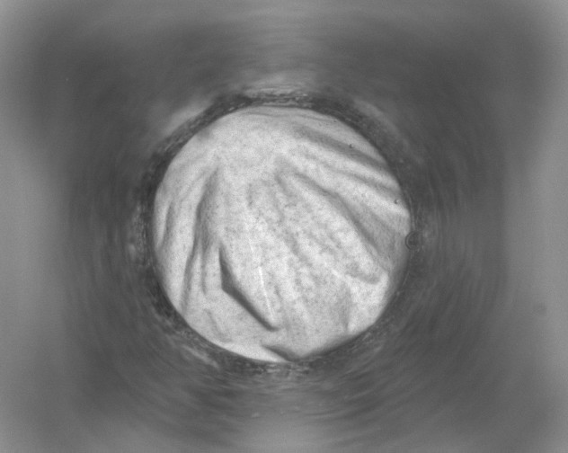 X0000054361350200508262304