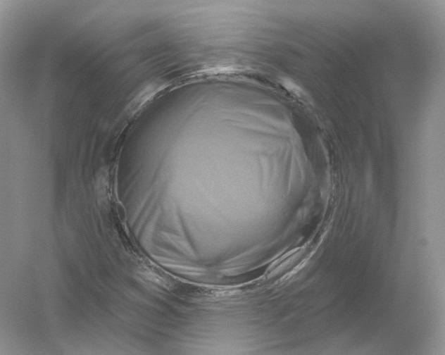 X0000054361353200508262304