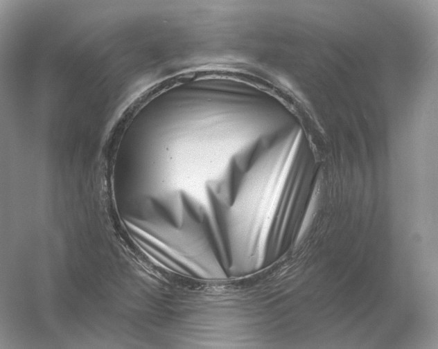 X0000054361360200508262304