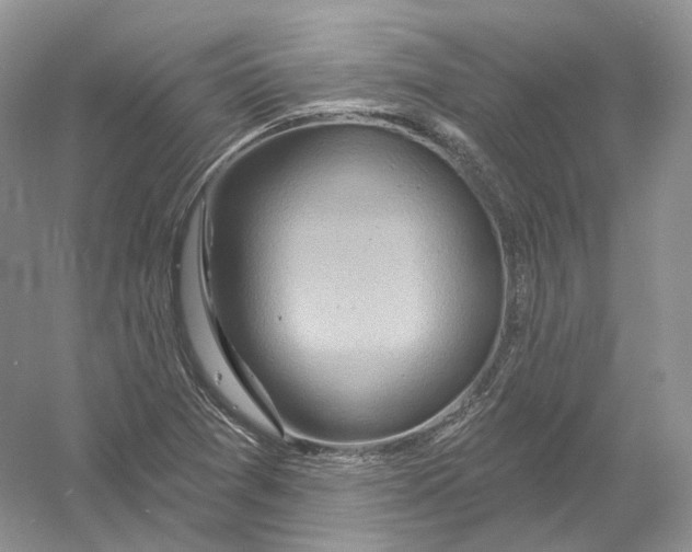 X0000054361361200508262304