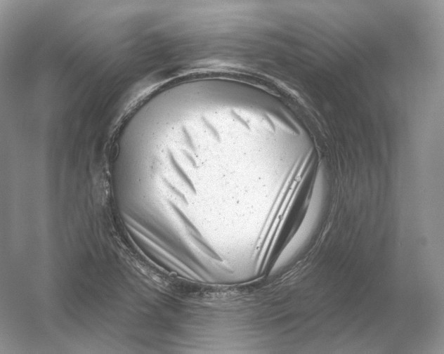 X0000054361363200508262303