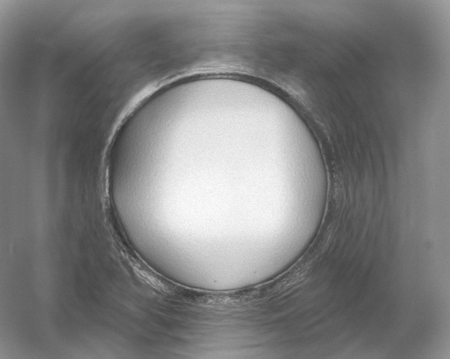 X0000054361366200508262303