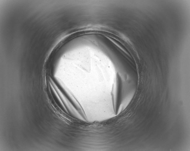 X0000054361368200508262303